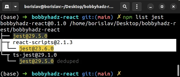 npm list jest