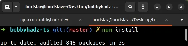 issue npm install command
