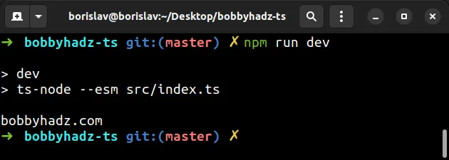 using npm run script instead