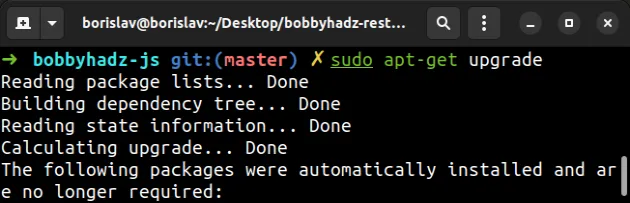 sudo apt get upgrade