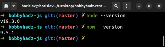 verify nodejs npm installed