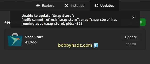 unable to update snap store cannot refresh snap store