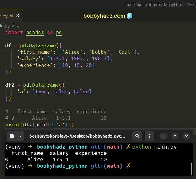 using one dimensional boolean array indexer with df loc