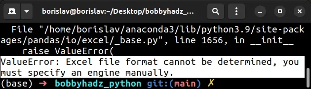 excel-file-format-cannot-be-determined-you-must-specify-an-engine