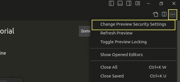 change preview security settings