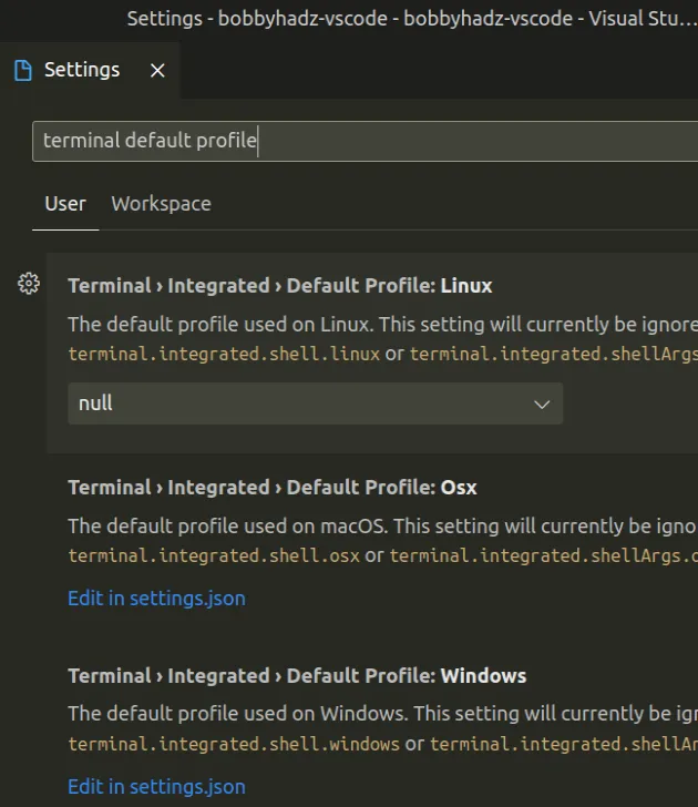 terminal select default profile in settings