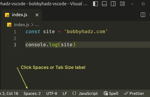 Change the indentation in VS Code (2 or 4 spaces, Tab size) | bobbyhadz