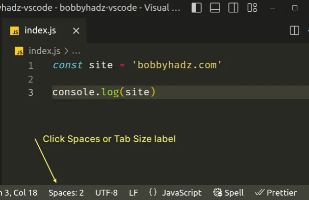 change-the-indentation-in-vs-code-2-or-4-spaces-tab-size-bobbyhadz