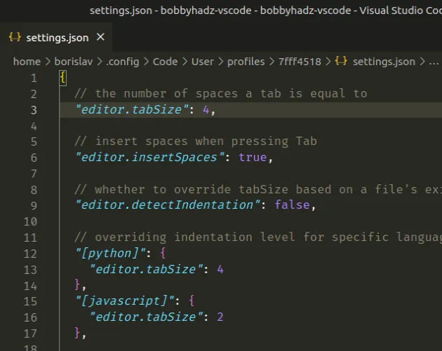 updating indentation in settings json file