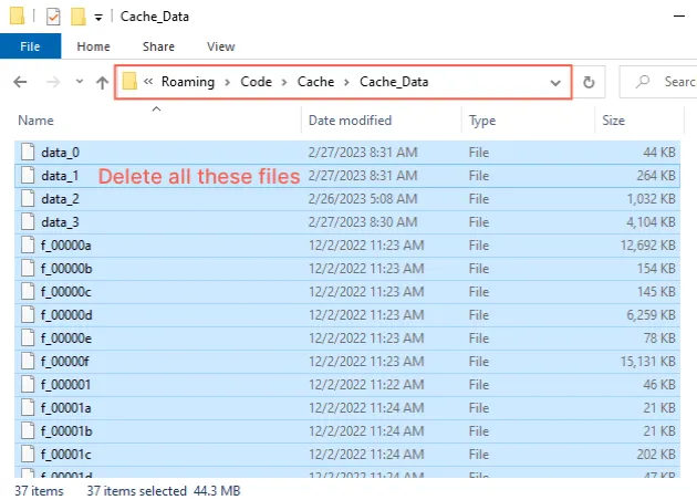 delete all files in cache directory