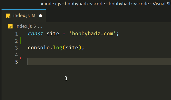 How to Duplicate a Line or a Selection in VS Code | bobbyhadz