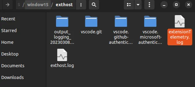 contents of extension host folder