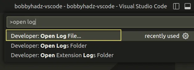 developer open log file