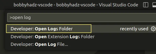 developer open logs folder