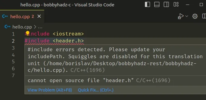 vscode include errors detected