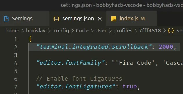 increase terminal buffer size in settings json
