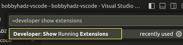 developer show running extensions