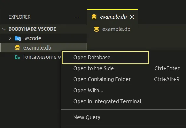 How To Open View And Query SQLite In VS Code Bobbyhadz