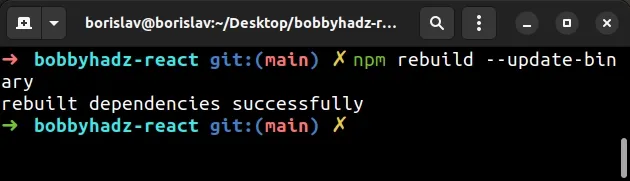 run npm rebuild command