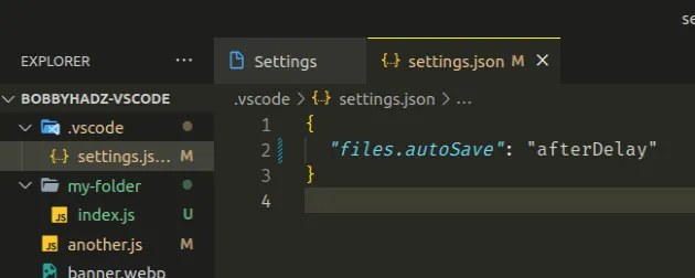 update local vscode settings json
