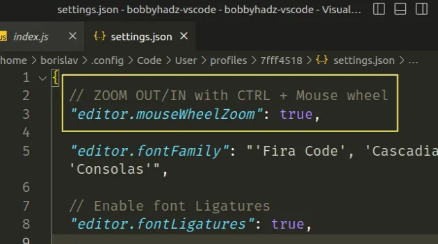 enable mouse wheel zoom in settings json
