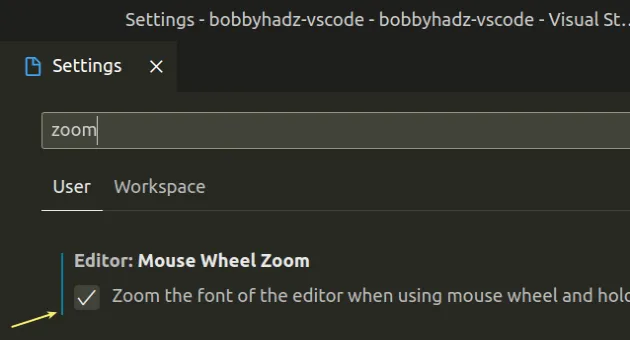 enable mouse wheel zoom