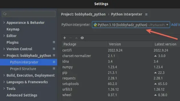 pycharm select correct interpreter