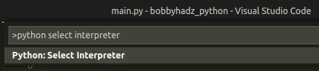 python select interpreter
